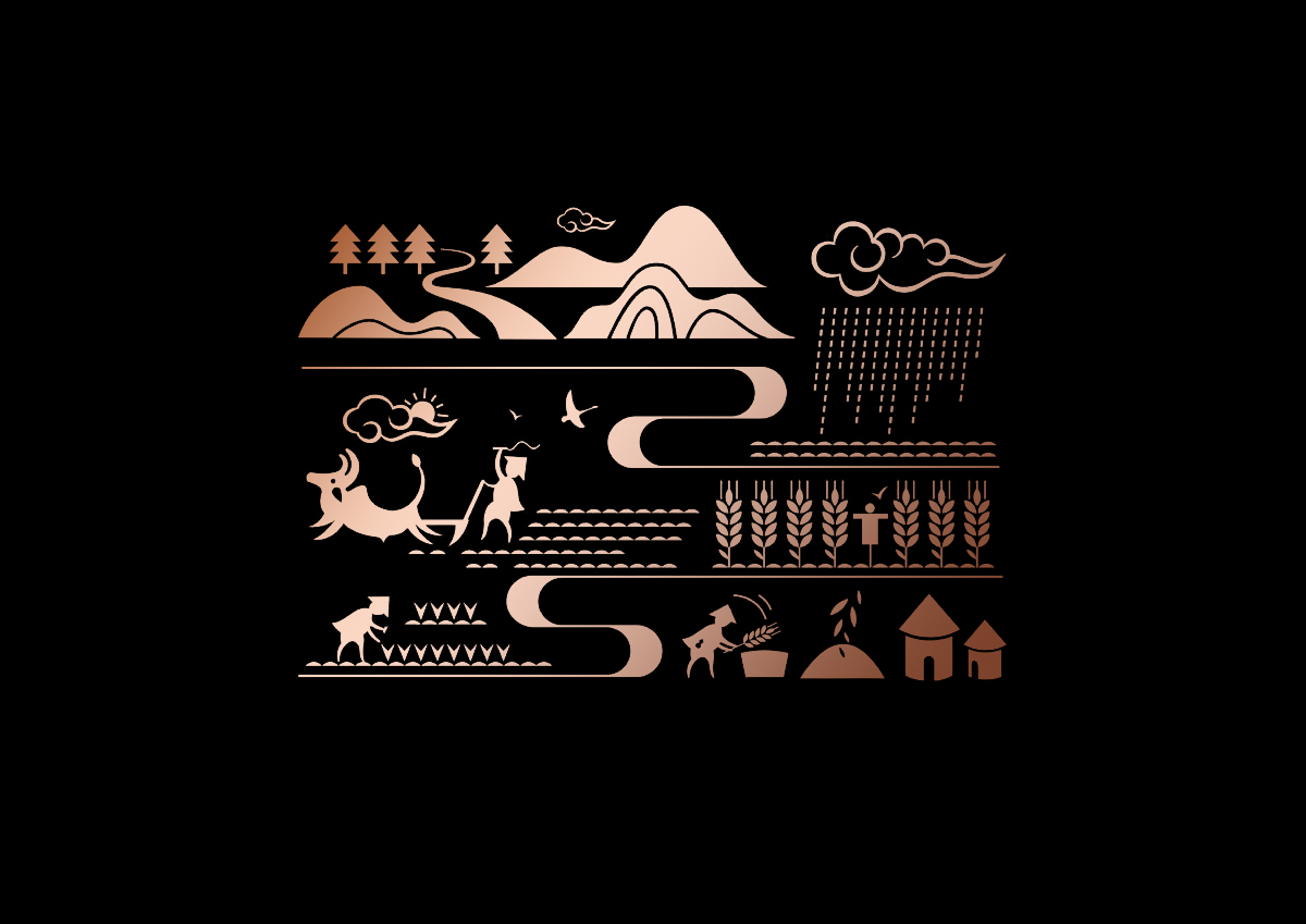 大米包裝設計,長春大米包裝設計